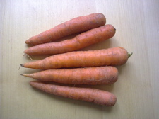 carottes.jpg